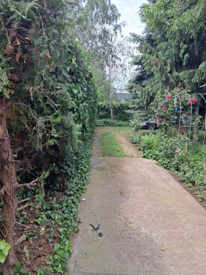 2 Rooms Retro Guesthouse In A Silent Garden Vecses Exterior photo