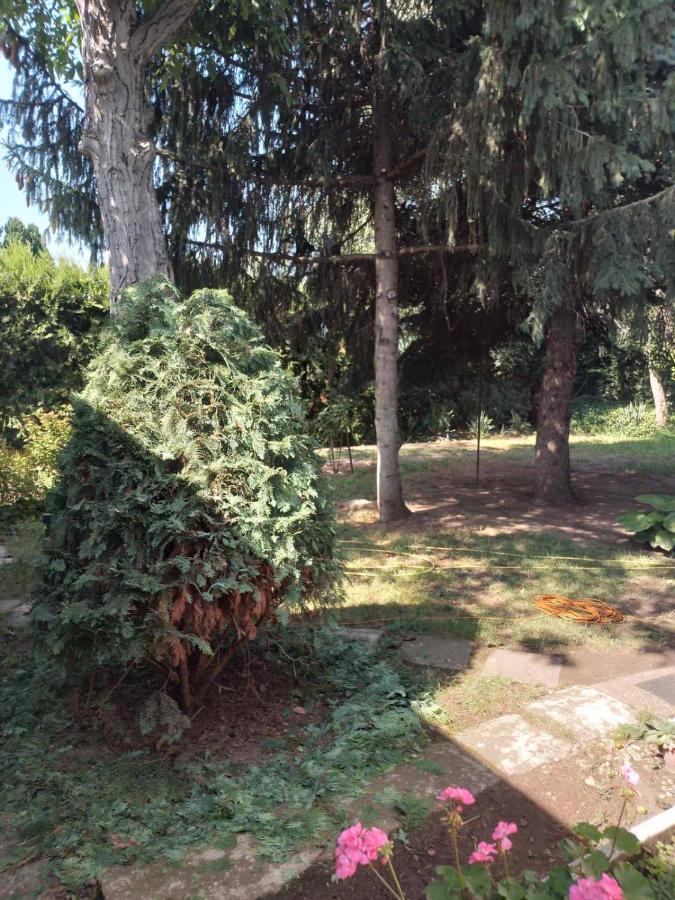 2 Rooms Retro Guesthouse In A Silent Garden Vecses Exterior photo